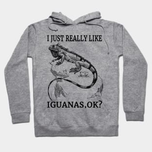 I Just Really Like Iguanas, Ok? Cool Reptiles Fan Hoodie
